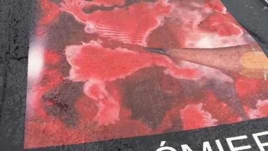 Drastyczne zdjęcia płodów w środku miasta. "Moje dziecko się rozpłakało"