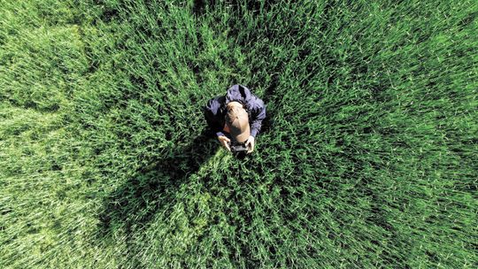 Dron pomoże rolnikom w Lubelskiem. Ułatwi zarządzanie pastwiskiem