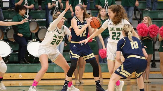 Druga Amerykanka dołącza do Pszczółki Polski Cukier. To potomkini Wilhelma Zdobywcy