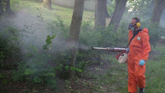 Drugie odkomarzanie Lublina. Zaczną od Ogrodu Saskiego