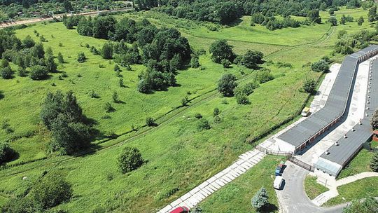 Drzewa nie mogą być wrogiem miast. NIK chce zmiany prawa, po analizie tego co z zielenią robi Lublin i inne miasta