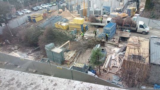 Drzewa padły, komisariat rośnie. Mieszkańcy: kto za to odpowie?