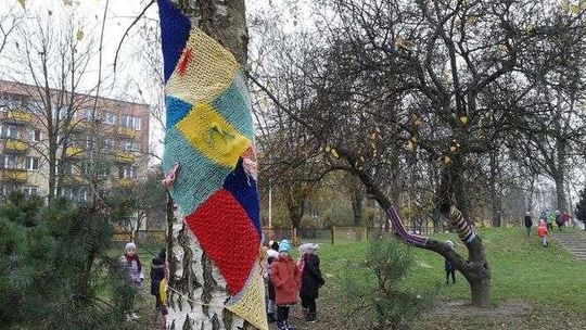 Drzewa w szalikach. Bombardowanie włóczką trwa