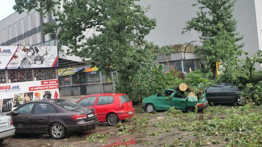 Drzewa zmiażdzyły samochody. Straż non stop krąży po Lublinie [zdjęcia]