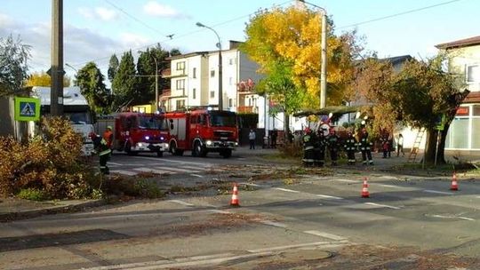 Drzewo przewróciło się na ul. Kunickiego