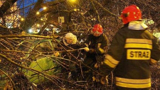 Drzewo spadło na samochód na rondzie Mohyły. Strażacy musieli uwolnić kobietę