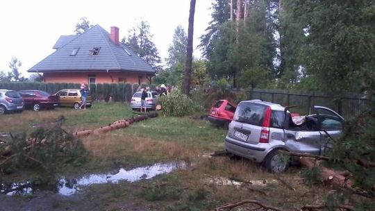 Drzewo spadło na samochód w czasie burzy. 6 osób trafiło do szpitala