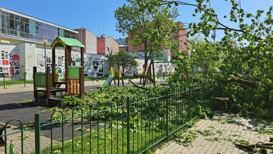 Drzewo zdemolowało plac zabaw w centrum Lublina
