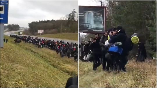 Duża grupa imigrantów zmierza w stronę granicy polsko-białoruskiej. Będą chcieli przejść siłowo?