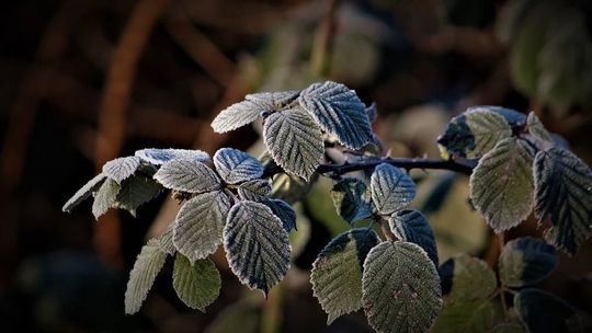 Duże wahania temperatury, a nawet przymrozki. Prognoza pogody na najbliższe dni