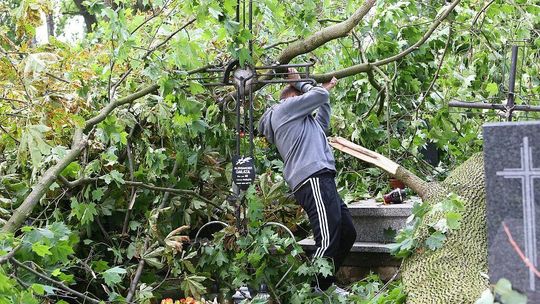 Duże zniszczenia po burzy na cmentarzu w Konopnicy. "Proszę nie sprzątać" [zdjęcia]