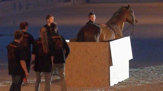 Dużo rozrywki na Cavaliadzie: Wyścigi, pokazy, zabawa (wideo)