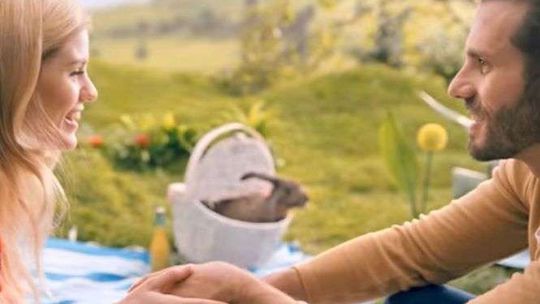 "Dużo się ruszamy". Króliki zachęcają do rozmnażania w kampanii ministerstwa