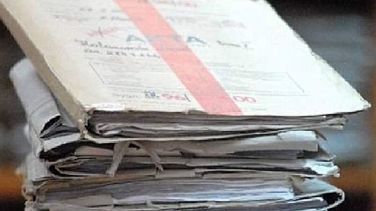 Dwa miesiące więzienia za brutalne zabicie psa