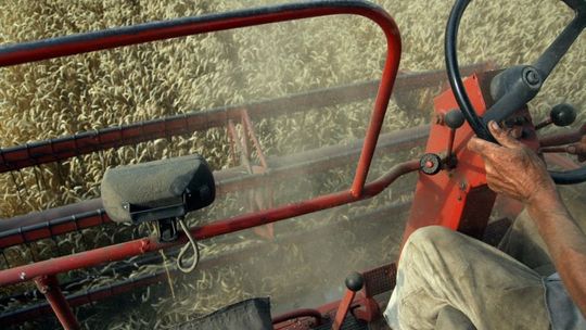 Dwaj mężczyźni śmiertelnie porażeni prądem. Reperowali kombajn