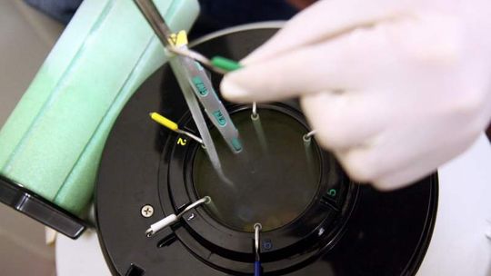 Dwie kliniki z Lublina wykonają refundowane zabiegi in vitro