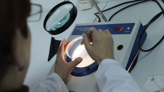 Dwie osoby z podejrzeniem koronawirusa w Polsce. Kobieta właśnie wróciła z Włoch