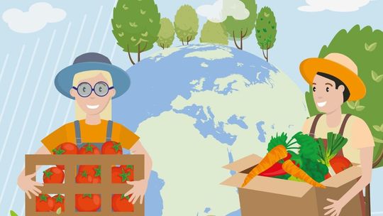 Dwóch na trzech Polaków przyznaje się do marnowania jedzenie - raport Banków Żywności