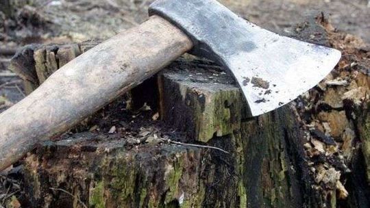 Dwóch pijanych przy wycince. To nie mogło skończyć się dobrze