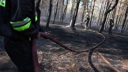 Dymy nad regionem. Aż 166 pożarów lasów w tym miesiącu