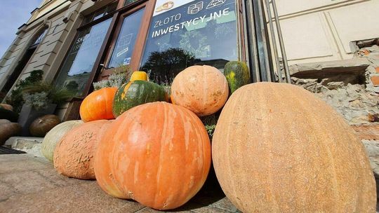 Dynie wyrosły na lubelskich ulicach, w powietrzu czuć jesień. Zobacz jak ozdobione jest miasto
