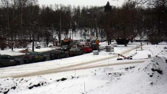 Dyrektor od dróg na dywaniku za Filaretów