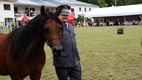 Dyrektor stadniny koni w Janowie Podlaskim: "Sprzedajemy prawdziwe piękno"