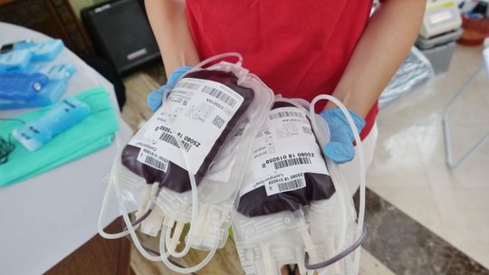 "Działamy z dnia na dzień". Szpitalom w Lublinie najbardziej potrzebna jest krew grupy 0
