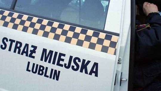 Działkowcy palą ogniska, zamiast kompostować zieleń. Straż Miejska ostrzega