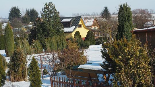 Działkowcy walczą o dotacje z miasta. Wnioski na ponad 2 miliony złotych