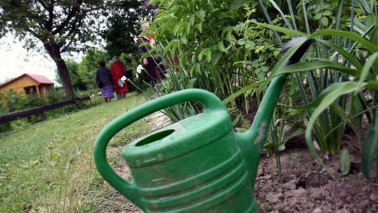 Działkowcy ze Świdnika przegrywają z lotniskiem