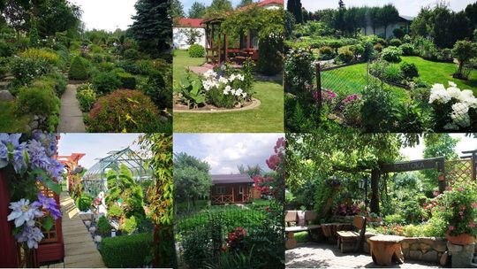 Działkowiec Roku 2020. Głosowanie zakończone