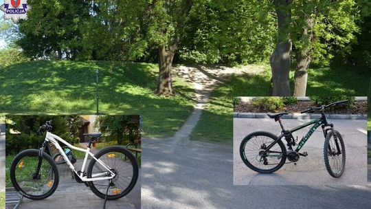 Dzieci jeździły na rowerkach po parku. I nagle zrobiło się niebezpiecznie