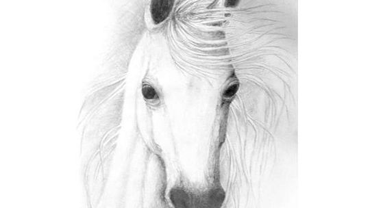 "Dzieci wiatru". Wystawa Anny Butryn w Puławach