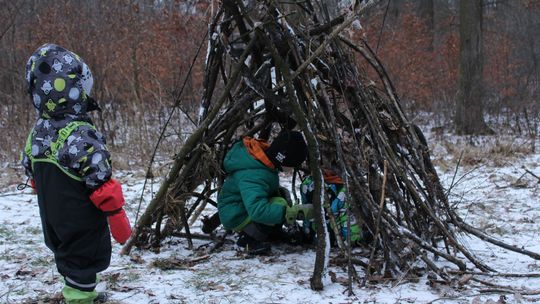 Dziecięca wyprawa do lasu w Puławach