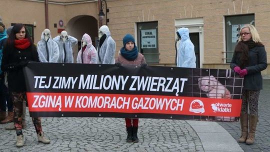 Dzień Bez Futra. W środę happening w Lublinie