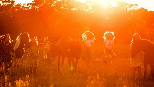 Dzień Dziecka w Stajni Wylągi w Kazimierzu Dolnym