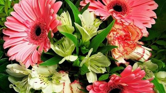 Dzień Matki 2017: Wasze życzenia dla mam