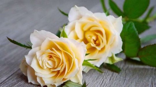 Dzień Matki 2017. ŻYCZENIA [wierszyki, rymowanki, SMS]. Czego życzyć mamie?