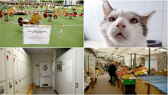 Dzień na tysiąc mgnień. 19 maja 2020 w Lublinie