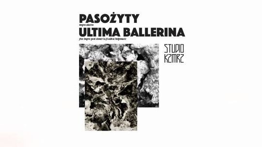 Dzień otwarty Fundacji KZMRZ