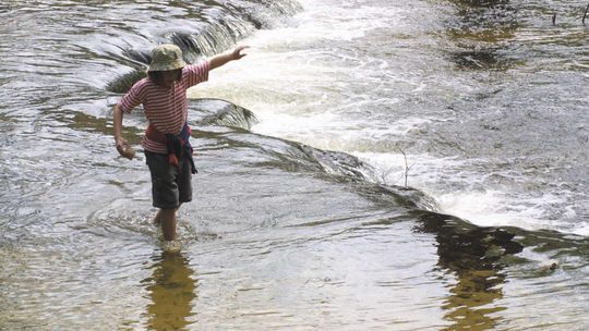Dzień otwarty w Roztoczańskim Parku Narodowym