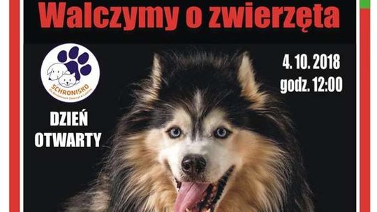 Dzień Otwarty w Schronisku dla Bezdomnych Zwierząt w Lublinie