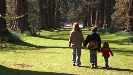 Dzień Rodzicielstwa Zastępczego w Puławach