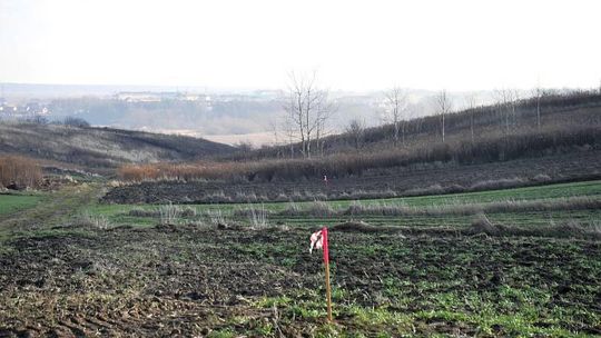 Dziennik Budowy S17: 2011 - Z ziemi do asfaltu