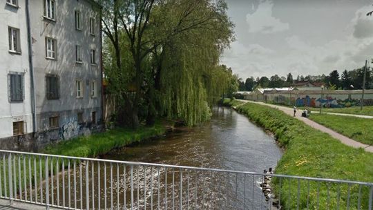 Dziesiątki obumarłych ryb w Krznie