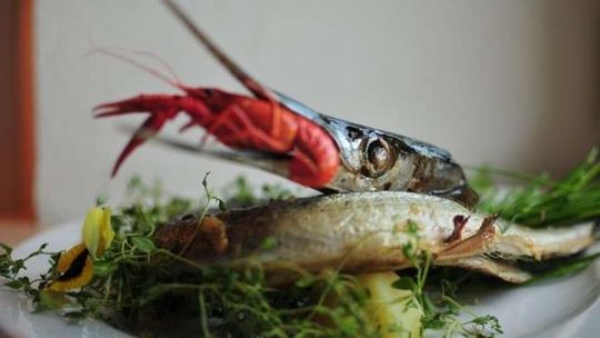 Dziesięciu najciekawszych szefów kuchni 2016 w Lublinie i regionie