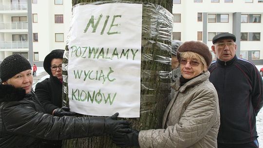 Dziewanny: Mieszkańcy bronią drzew przed wycinką
