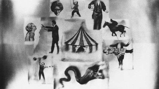 Dziki Lublin: Arabi, Chińczycy i dzieci w kieszeni