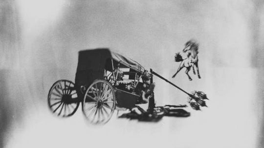 Dziki Lublin: Dwie opowieści o wypadku hrabiny